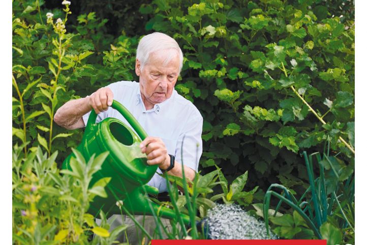 Ein Mann gießt Pflanzen mit der Gießkanne.